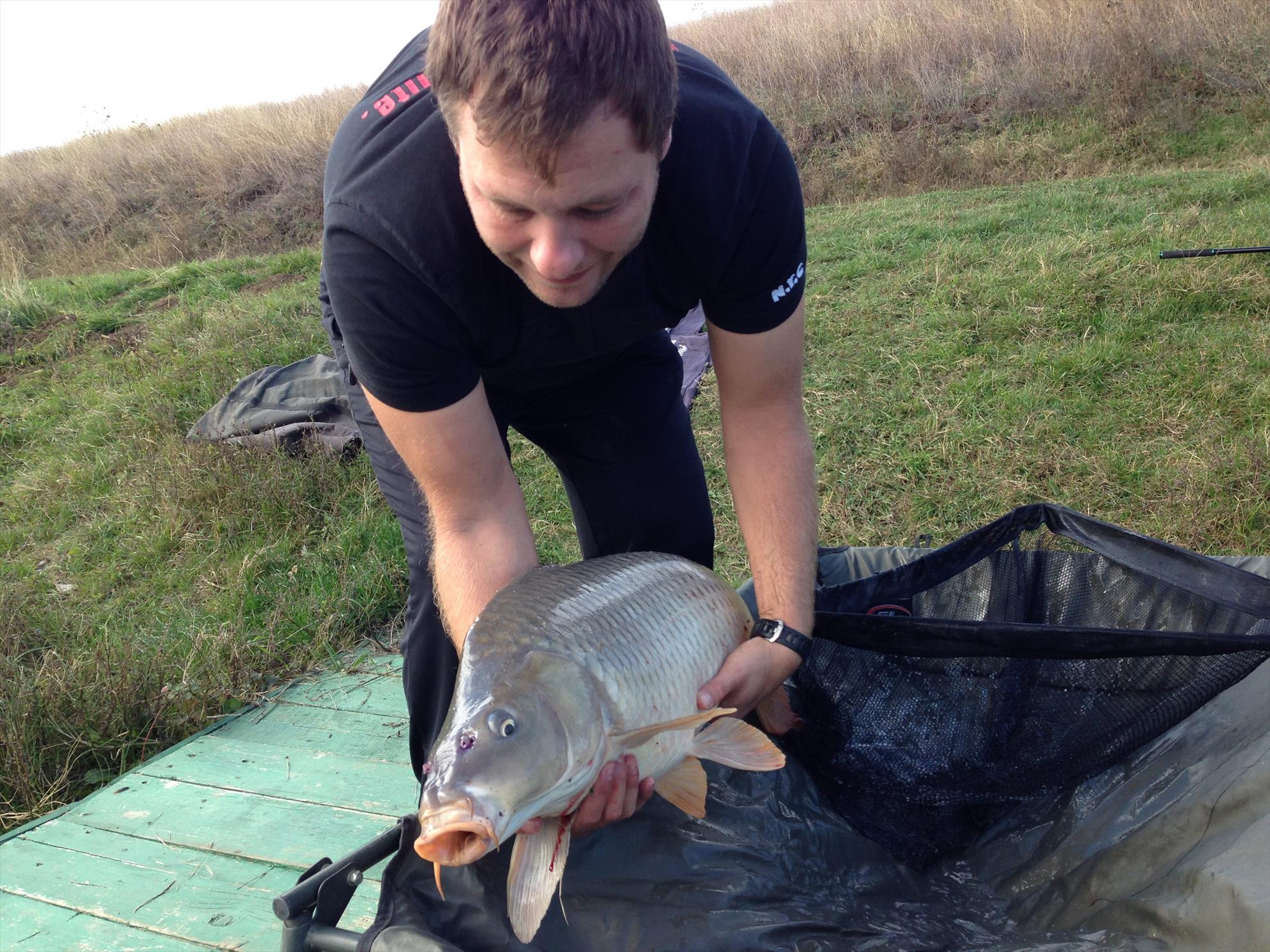 De pe balta adunate - image11111111111111111111.jpg